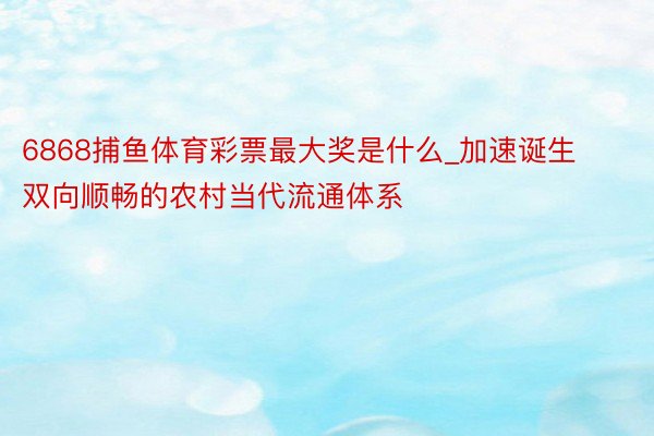 6868捕鱼体育彩票最大奖是什么_加速诞生双向顺畅的农村当代流通体系