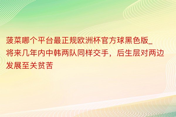 菠菜哪个平台最正规欧洲杯官方球黑色版_将来几年内中韩两队同样交手，后生层对两边发展至关贫苦