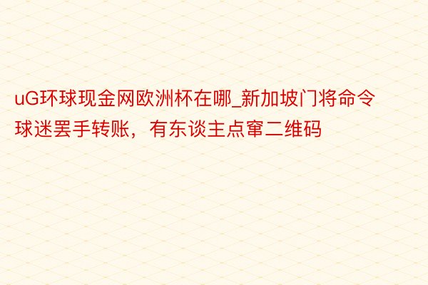 uG环球现金网欧洲杯在哪_新加坡门将命令球迷罢手转账，有东谈主点窜二维码