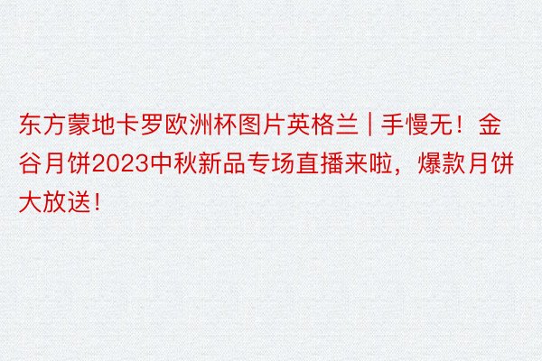 东方蒙地卡罗欧洲杯图片英格兰 | 手慢无！金谷月饼2023中秋新品专场直播来啦，爆款月饼大放送！